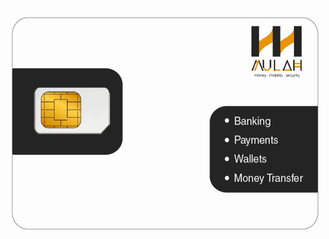 Secure Banking on Feature Phones by Nextgen Telesolutions
